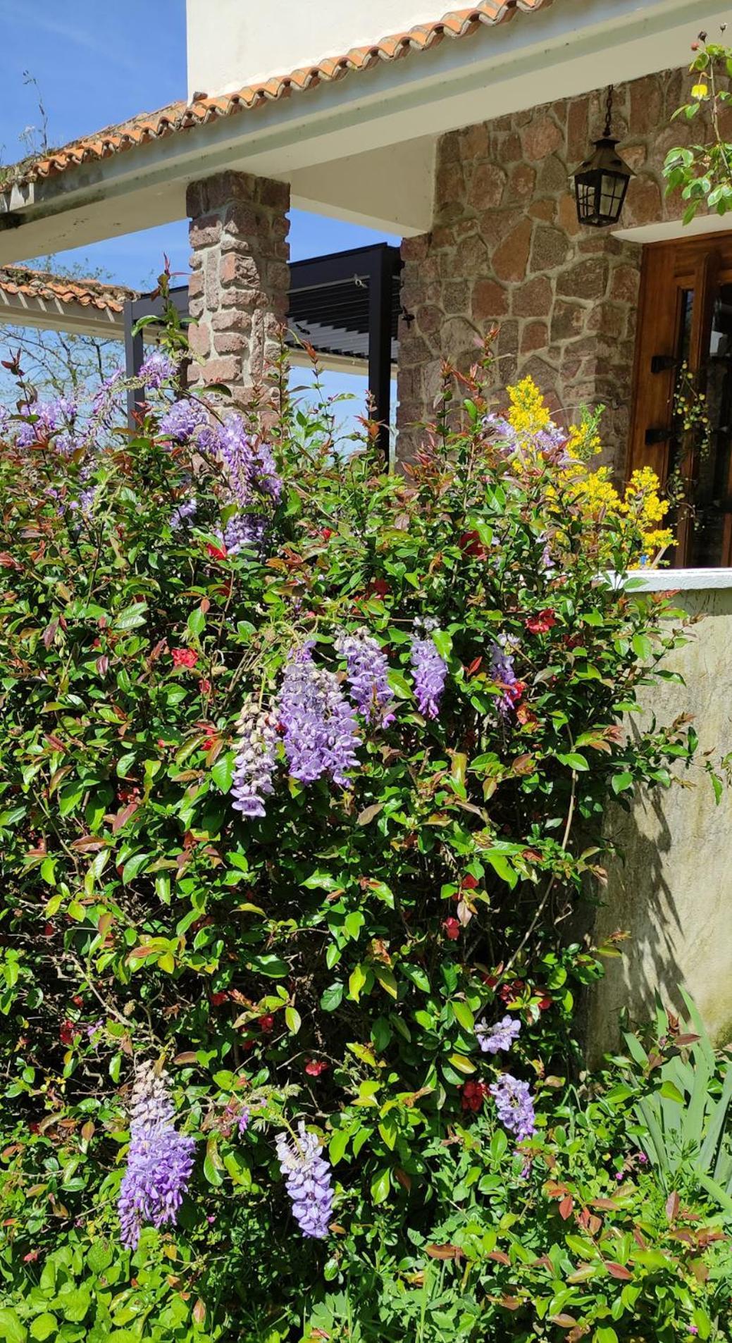 13 Bees Bed and Breakfast Confolens Buitenkant foto
