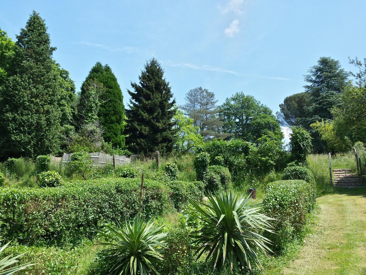 13 Bees Bed and Breakfast Confolens Buitenkant foto