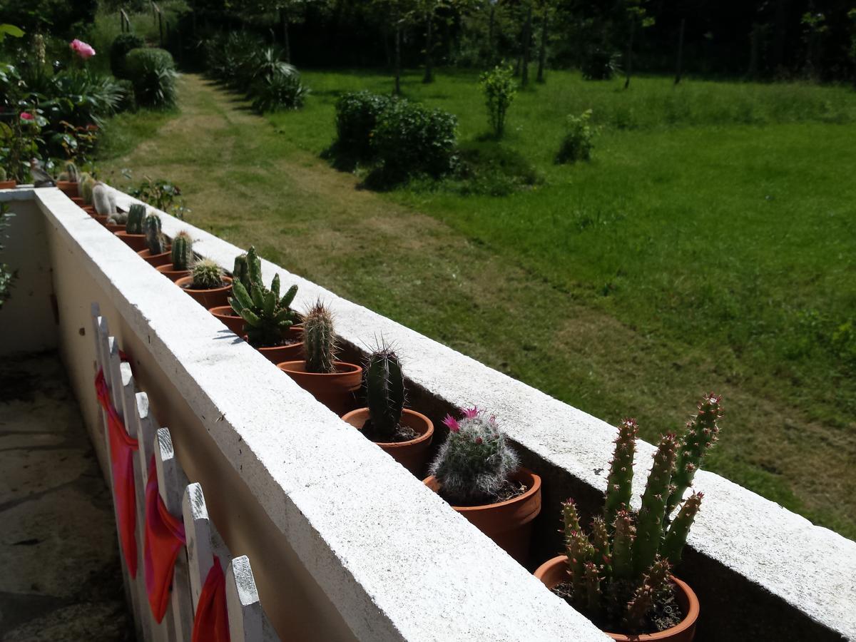 13 Bees Bed and Breakfast Confolens Buitenkant foto